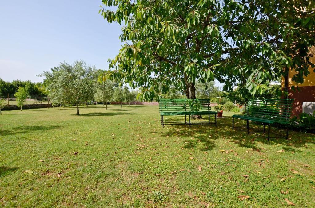 Apartment Karolina - Green Oasis Pula Zewnętrze zdjęcie