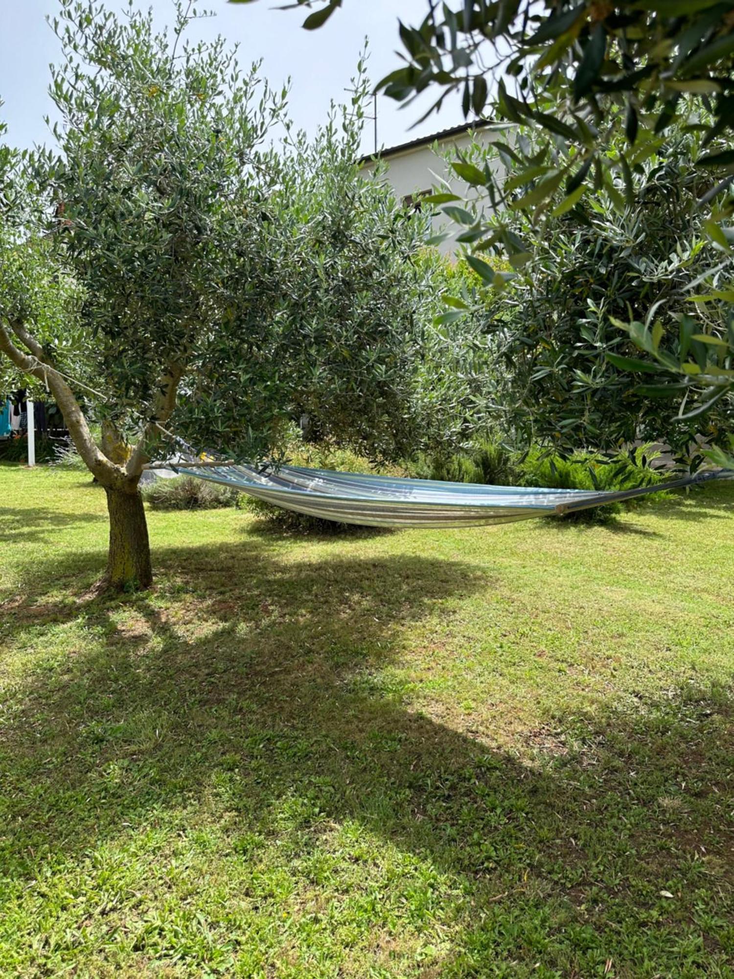 Apartment Karolina - Green Oasis Pula Zewnętrze zdjęcie